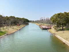 -上海海湾国家森林公园