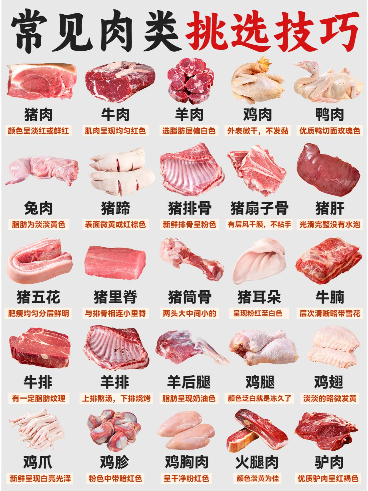 常见动物料肉比图片