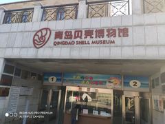 -青岛贝壳博物馆