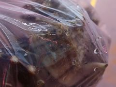 -锦绣大地生鲜食品厅(巨山路店)