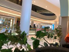 -春润大地海南椰子鸡(沙井京基百纳广场店)