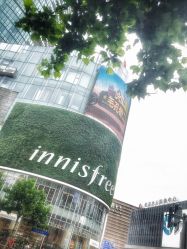 -悦诗风吟innisfree