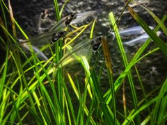 -上海海洋水族馆