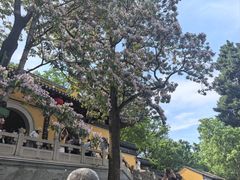 -虞山风景区