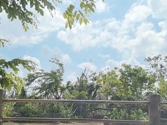 -海南热带野生动植物园
