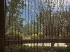 -难忘的面(五矿君澜酒店)
