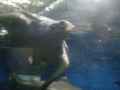 -泉州海丝野生动物世界