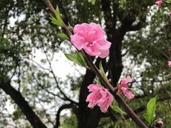 -乌山风景区