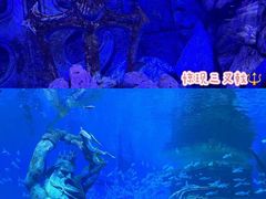 -哈尔滨波塞冬海底世界