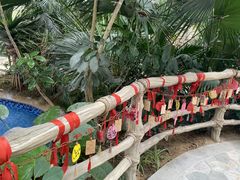 -郑州银基黄帝宫御温泉