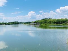 -大兴滨河森林公园