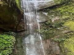 -中国大熊猫保护研究中心雅安碧峰峡基地