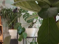 -一尺花园(安和花园店)