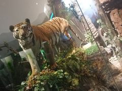 -陕西自然博物馆