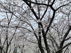 -龙美术馆西岸馆-停车场