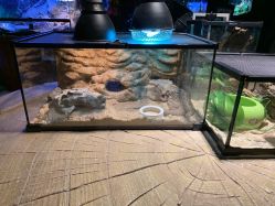 -酷嗒动物文化乐园(cutezoo西溪乐天城店)