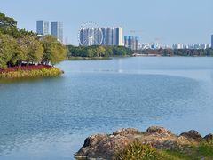 -顺峰山公园