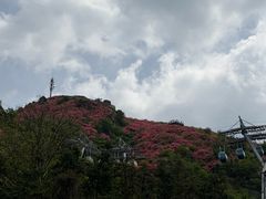 -木兰云雾山
