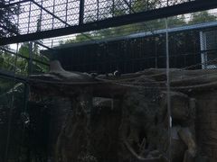 -泉州海丝野生动物世界