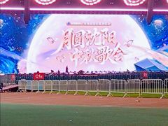 -沈阳奥林匹克体育中心