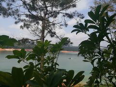 -广州市流溪河国家森林公园