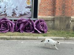 -云间粮仓