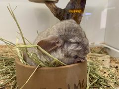 -海底捞火锅(杭州萧山宝龙广场店)