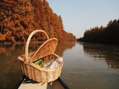 -上海海湾国家森林公园