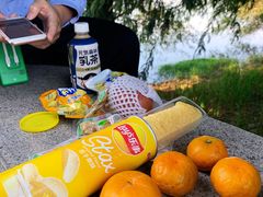 -贡湖湾湿地公园