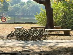 -开平碉楼文化旅游区马降龙景区