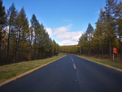 -塞罕坝国家级自然保护区