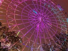 景点-南昌之星摩天轮
