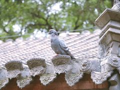 -保定直隶总督署博物馆