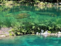 -石台牯牛降景区