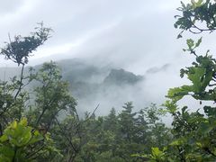 -牛背梁国家森林公园