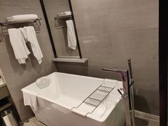 -南京禄口机场雅高铂尔曼大酒店