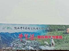 -牛背梁国家森林公园