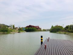 -广富林郊野公园