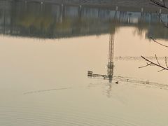 -羊山湖公园