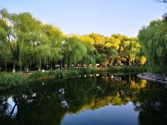 -满都海公园