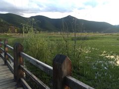 -泸沽湖国家级风景名胜区走婚桥