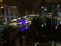 -新加坡丽思卡尔顿美年酒店