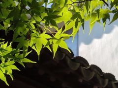 -苏州冶园园林民宿(太湖西山风景区店)