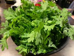 茼蒿-老翡翠 Old Crystal Jade Restaurant