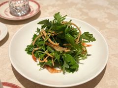 -西郊5号·Maggie 5