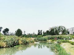 -天府芙蓉园