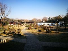 -盆景园(扬州大运河文化旅游度假区)