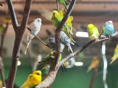 -上海大自然野生昆虫馆(东方明珠·爬宠昆虫探索中心)