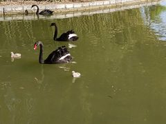 -洛阳市隋唐城遗址植物园