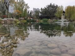 -北湖公园